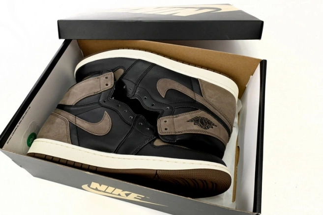 Air DZ5485-020 Jordan OG 1 High Palomino 0825